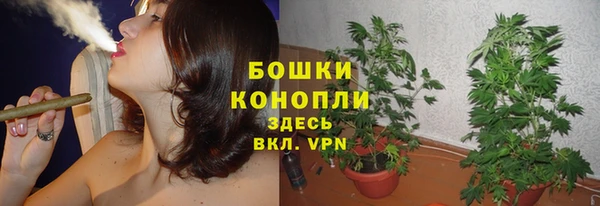 гашик Бородино