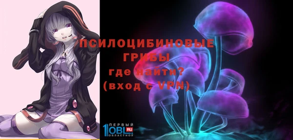 герыч Богородицк