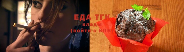гашик Бородино