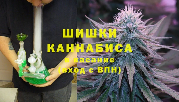 гашик Бородино