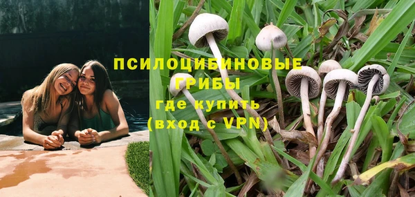 гашик Богданович