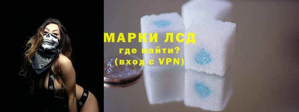гашик Богданович